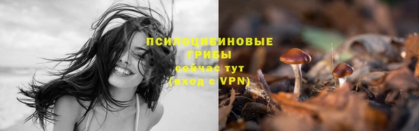 прущие крисы Покровск